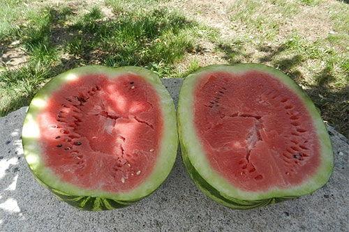 梦见女朋友吃瓜