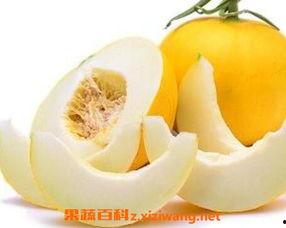 小孩吃伊丽莎白瓜,伊丽莎白瓜的甜蜜滋味