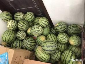 网上吃瓜tg群,TG群中的八卦盛宴