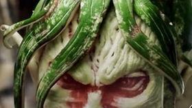 大金牙瓜怎么吃,解锁美味新体验