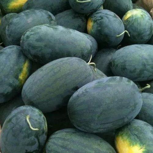 黑色闪电吃瓜,揭秘神秘吃瓜背后的故事