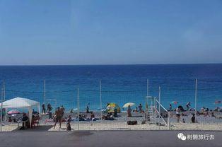 大海带你吃瓜,解锁美食新体验