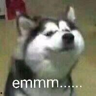 愣住吃瓜表情,揭秘网络热词背后的文化现象