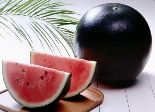 也曾一日吃长安瓜,一日味蕾之旅