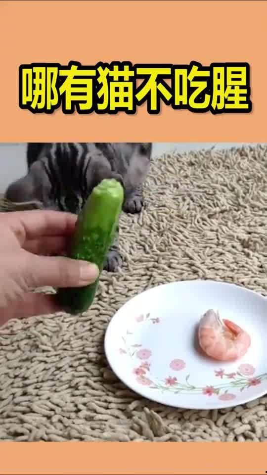 大白腥瓜怎么吃