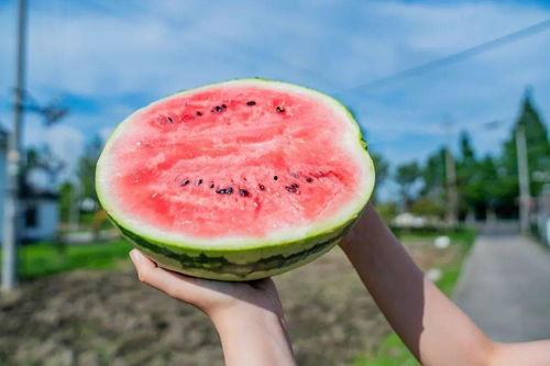 吃瓜拍照打卡,打卡美食新风尚