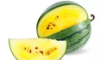 吃瓜坏瓜最严重怎么办视频,紧急应对指南揭秘