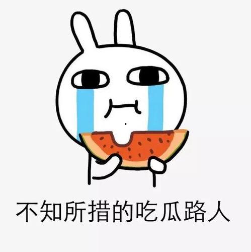 echo吃瓜版,揭秘echo背后的故事与真相