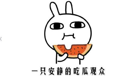 吃瓜发呆吃瓜是什么意思